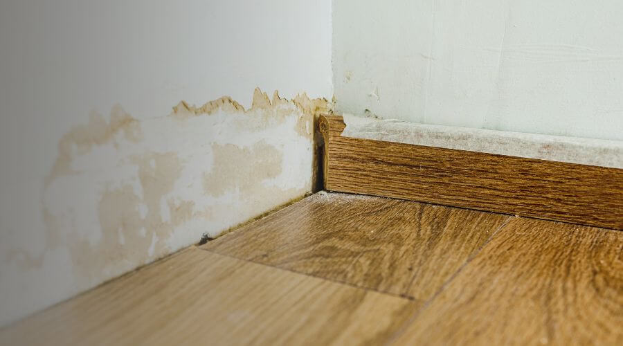 Why Choose Experienced Water Damage Restoration LLC